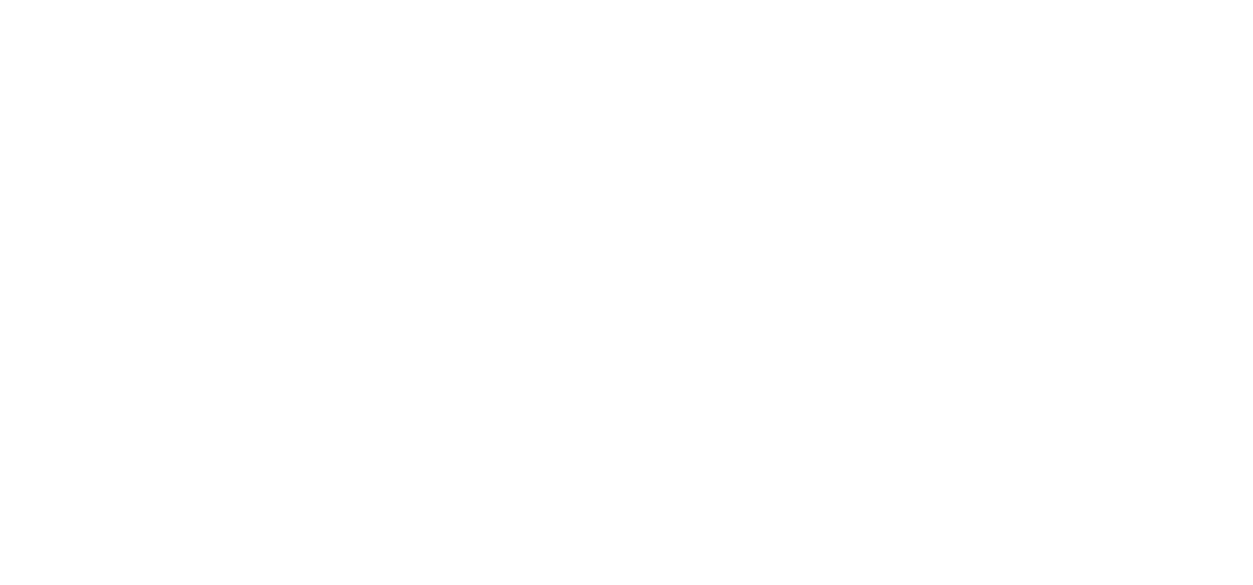 Rodrigo Costa Rally